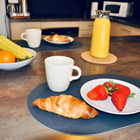 Daire Le Reve Bleu Jardin Parking Aeroport Meett