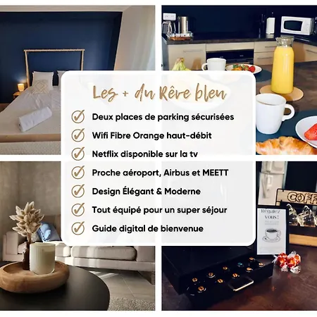 Daire Le Reve Bleu Jardin Parking Aeroport Meett *