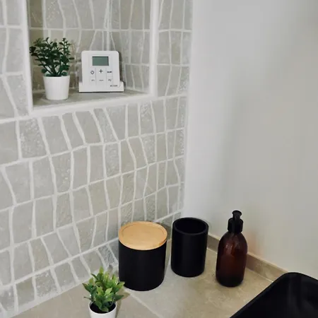 Le Reve Bleu Jardin Parking Aeroport Meett Blagnac