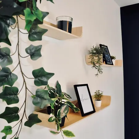 Le Reve Bleu Jardin Parking Aeroport Meett Daire