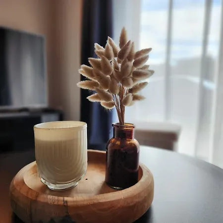 Le Reve Bleu Jardin Parking Aeroport Meett Daire