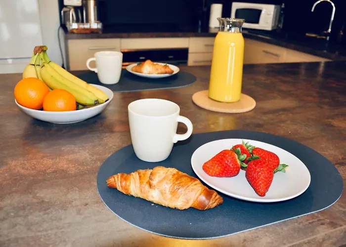 Appartement Le Rêve Bleu Jardin Parking Aéroport Meett