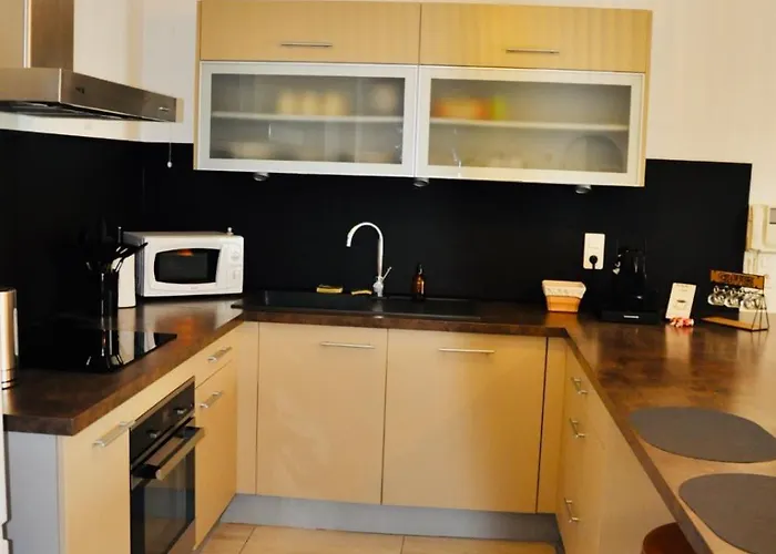 Apartamento Le Rêve Bleu Jardin Parking Aéroport Meett Blagnac